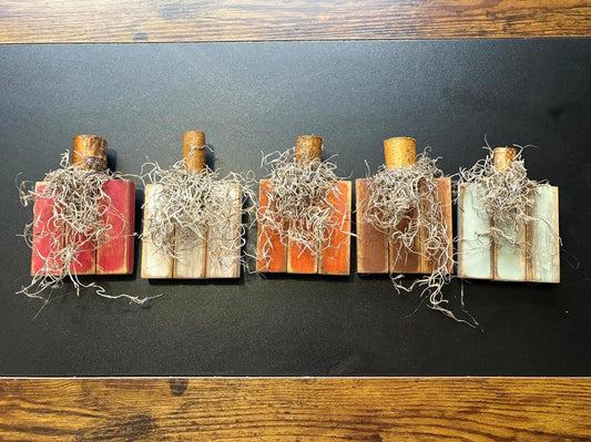 Savvy Creations Decorative Antique Pumpkins with Dried Botanical Accents